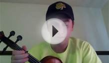 How to Play Chicken Fried Violin Intro By The Zac Brown Band